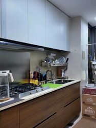 The Miltonia Residences (D27), Condominium #520147761